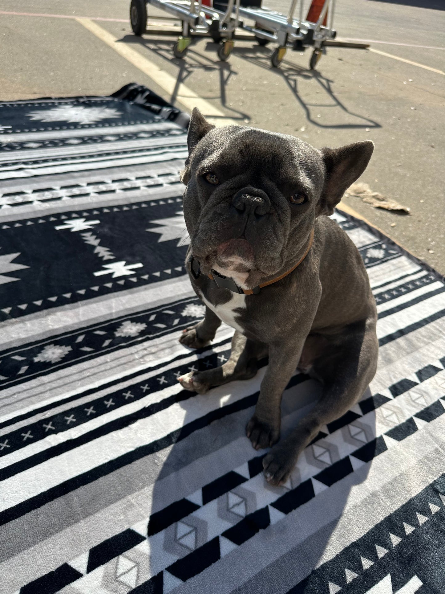 Black & Gray Southwest Aztec Flannel Blanket