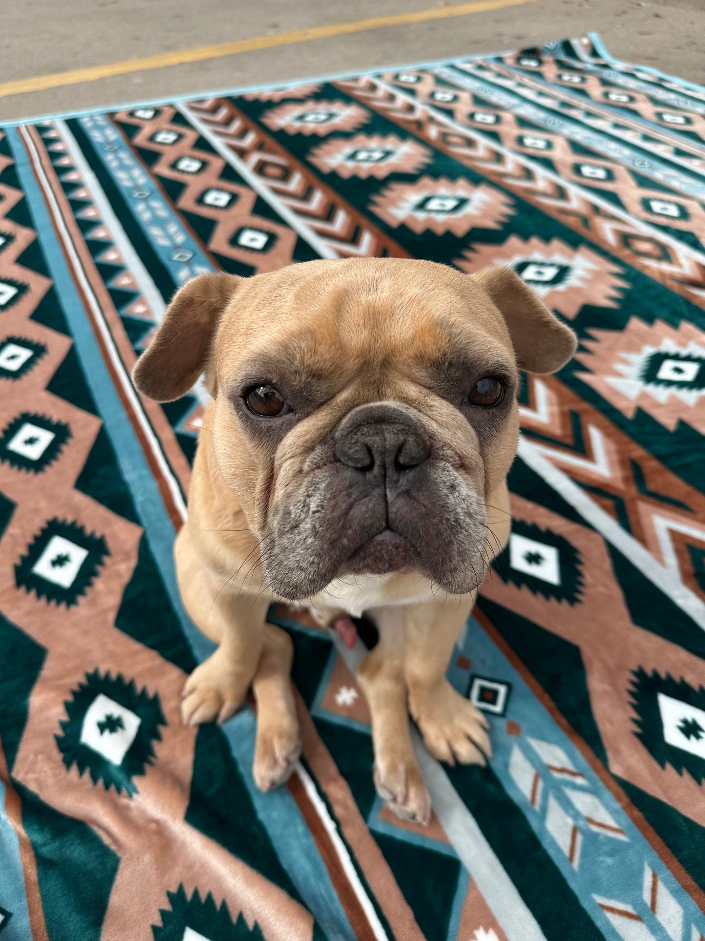 A56 - Green & Tan Southwest Aztec Flannel Blanket