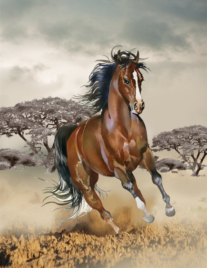 Running Horse Oversized Queen Cloudy Blanket