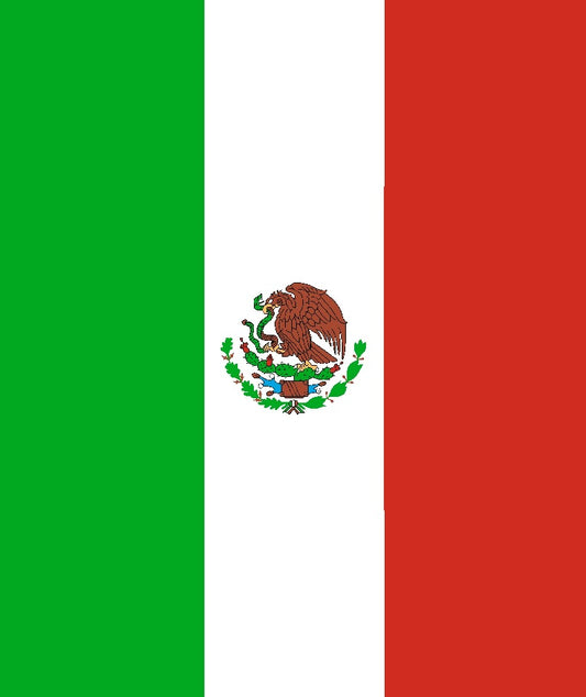 Mexican Flag Oversized Queen Cloudy Blanket